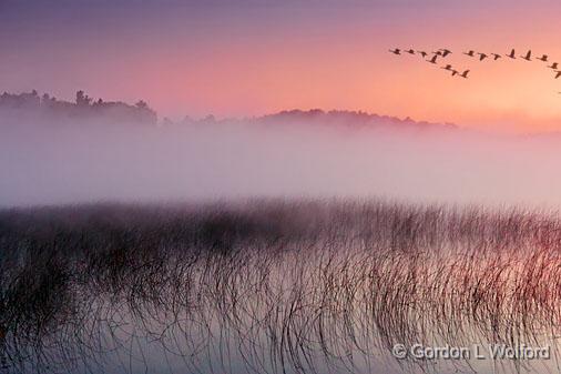 Misty Otter Lake At Dawn_16215.jpg - Photographed near Lombardy, Ontario, Canada.